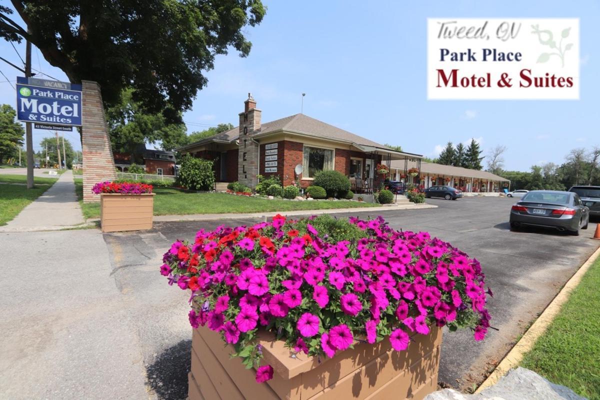 Park Place Motel & Suites Tweed Екстериор снимка